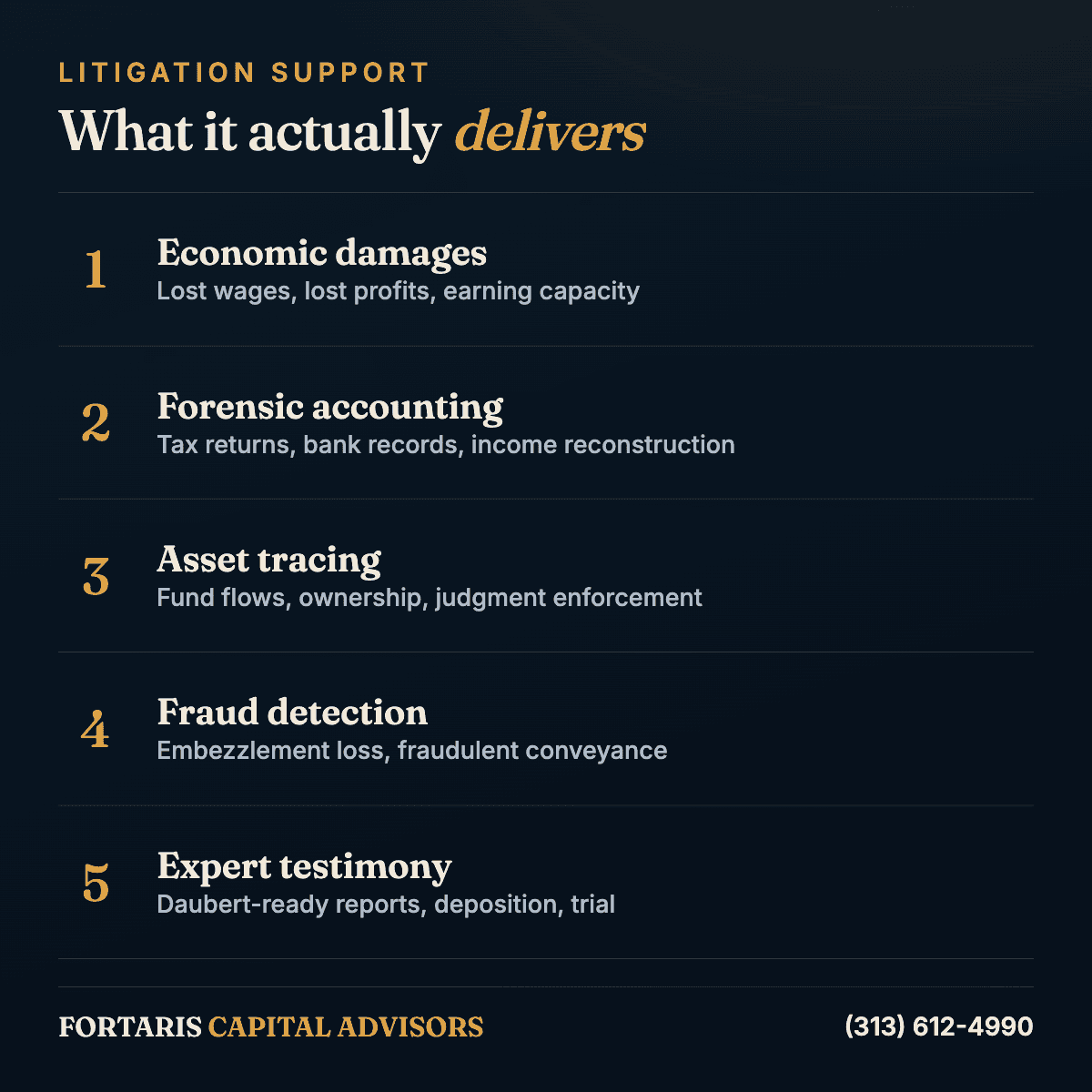 Infographic listing the five workstreams litigation support delivers: economic damages, forensic accounting, asset tracing, fraud detection, and expert testimony